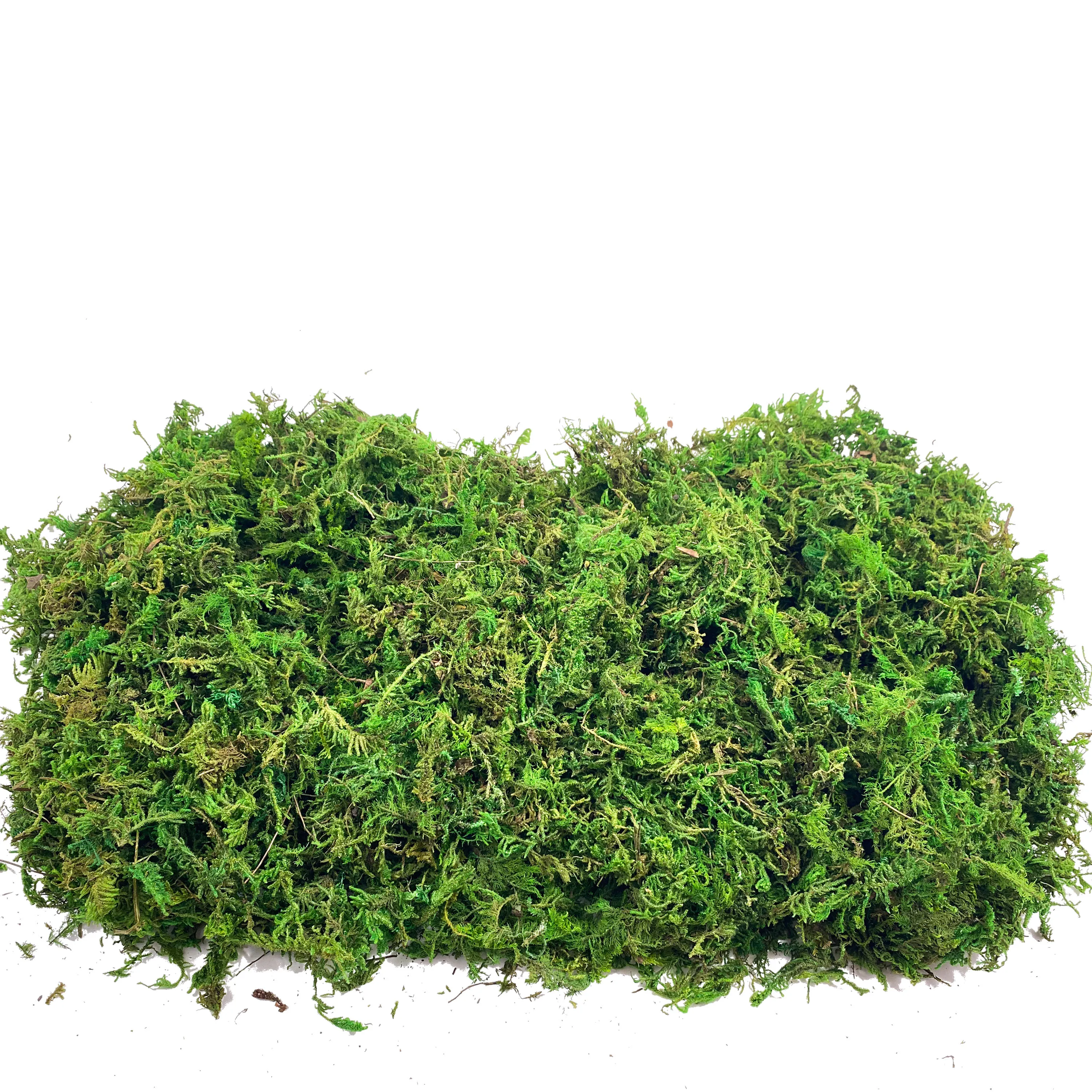 Terrarium Moss Art - Fake Moss Artificial Moss for Potted