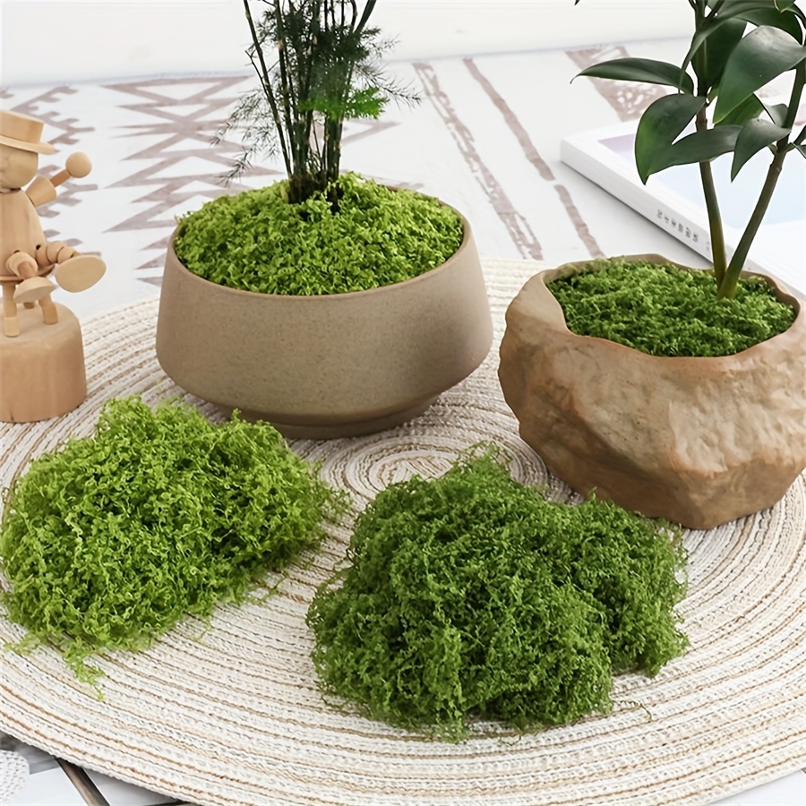 Terrarium Moss Art - 1pack Artificial Fake Moss, 1.05 OZ