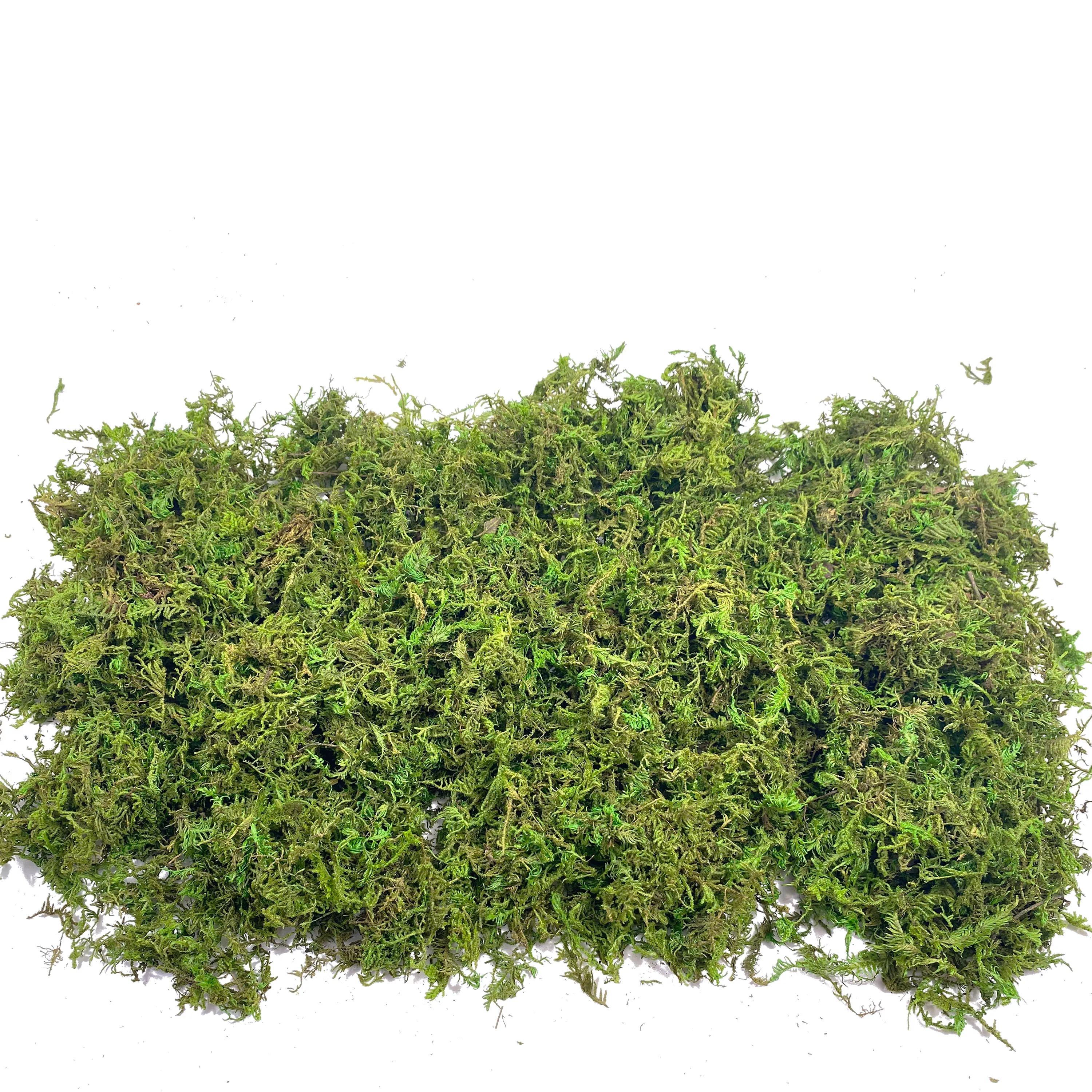 Fake Moss Artificial Moss for  - Terrarium Moss Art 评论和价格