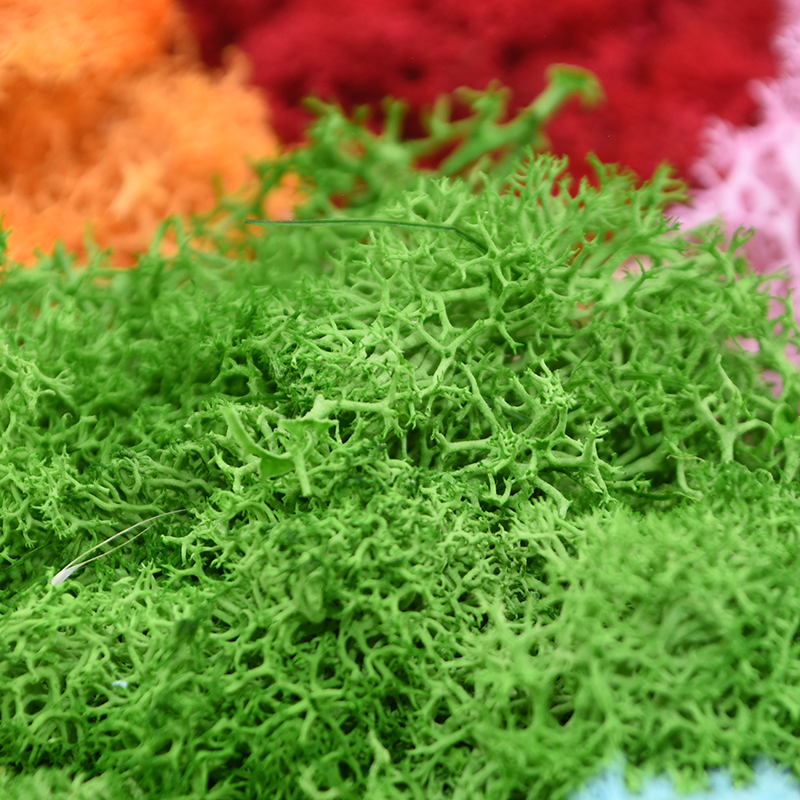 20/40g Artificial Green Plants - Terrarium Moss Art 评论和价格