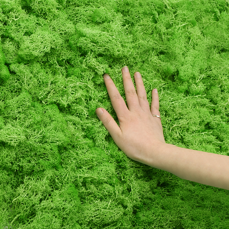 20/40g Artificial Green Plants - Terrarium Moss Art 评论和价格
