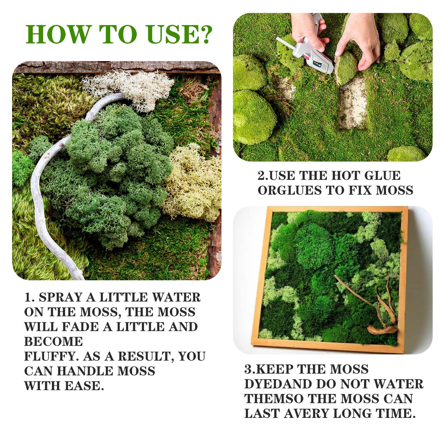Artificial Green Plants Eterna - Terrarium Moss Art 评论和价格
