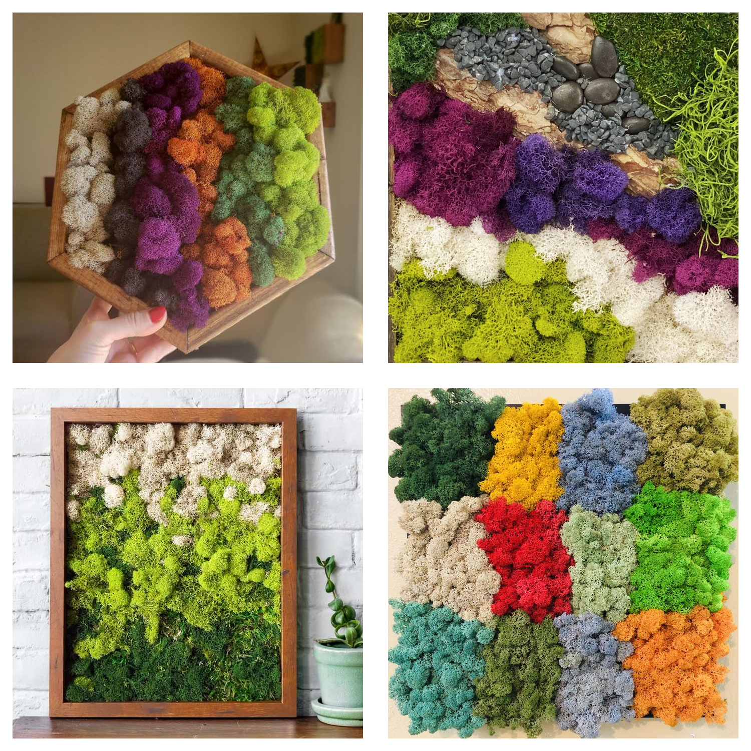 Artificial Green Plants Eterna - Terrarium Moss Art 评论和价格