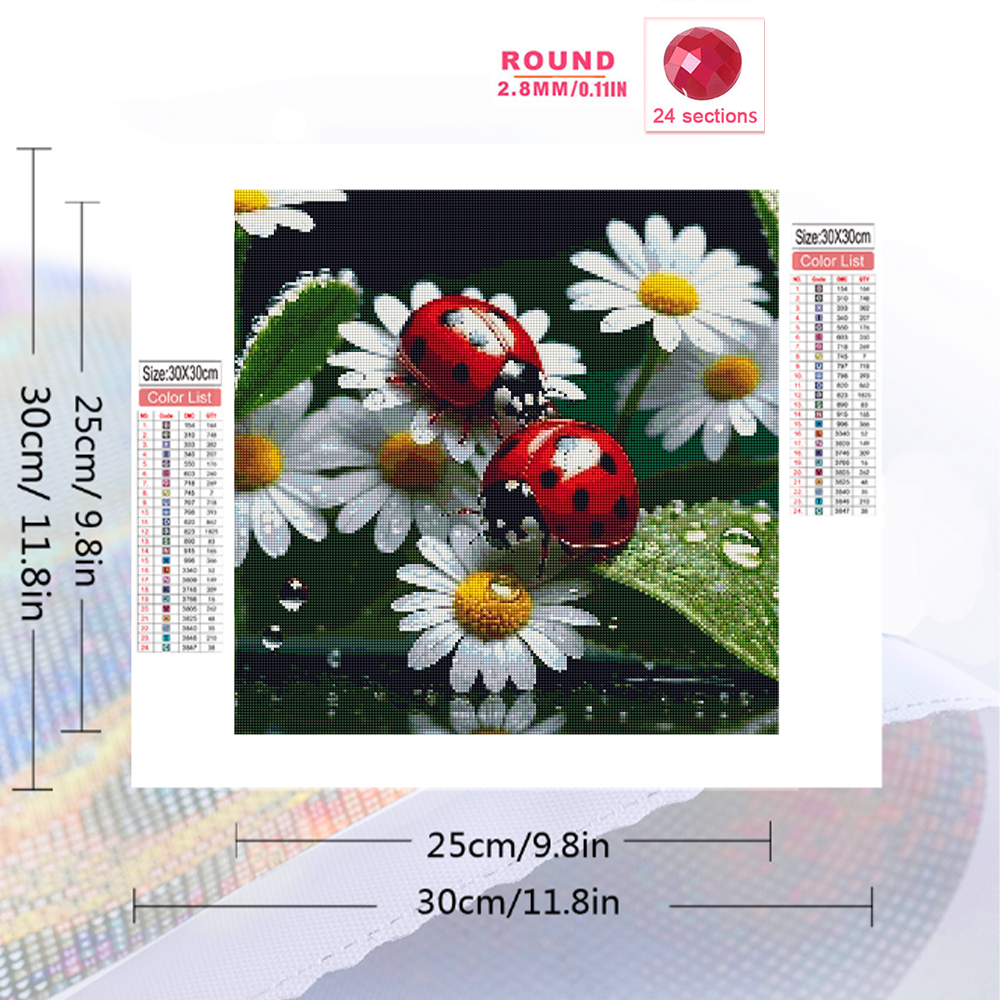 Momoart Diamond Painting Ladyb - Resin Craft For Beginners 评论和价格