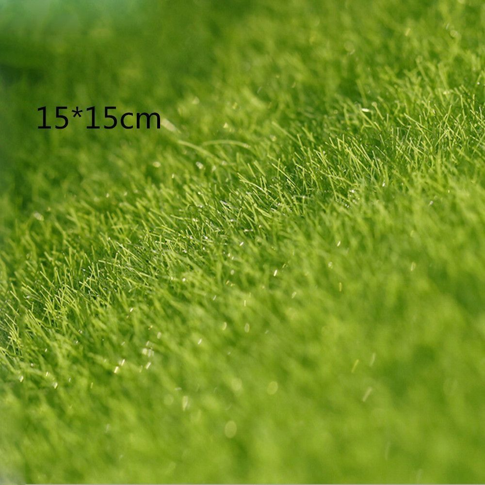 Ecological Lawn Decor Garden O - Terrarium Moss Art 评论和价格