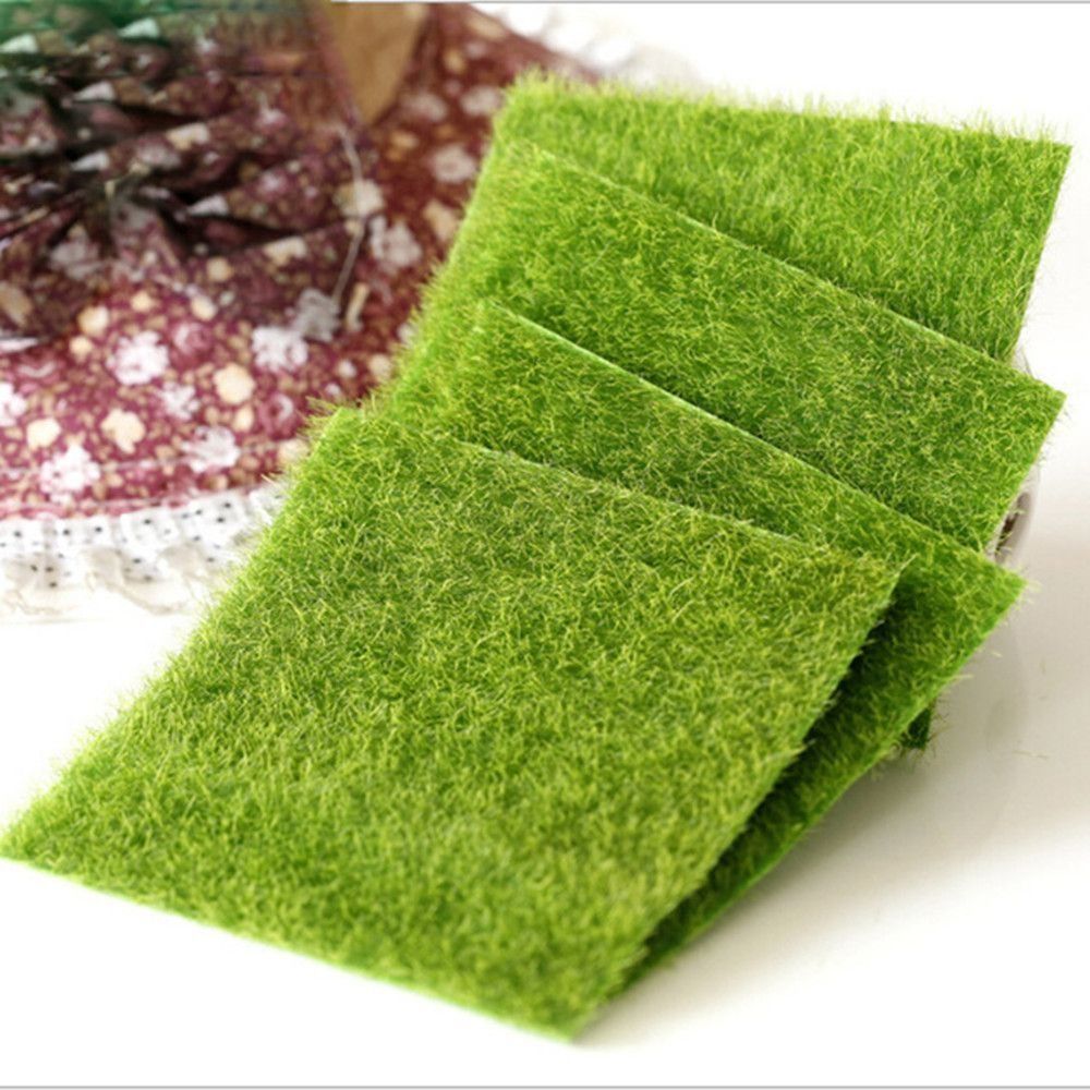 Ecological Lawn Decor Garden O - Terrarium Moss Art 评论和价格