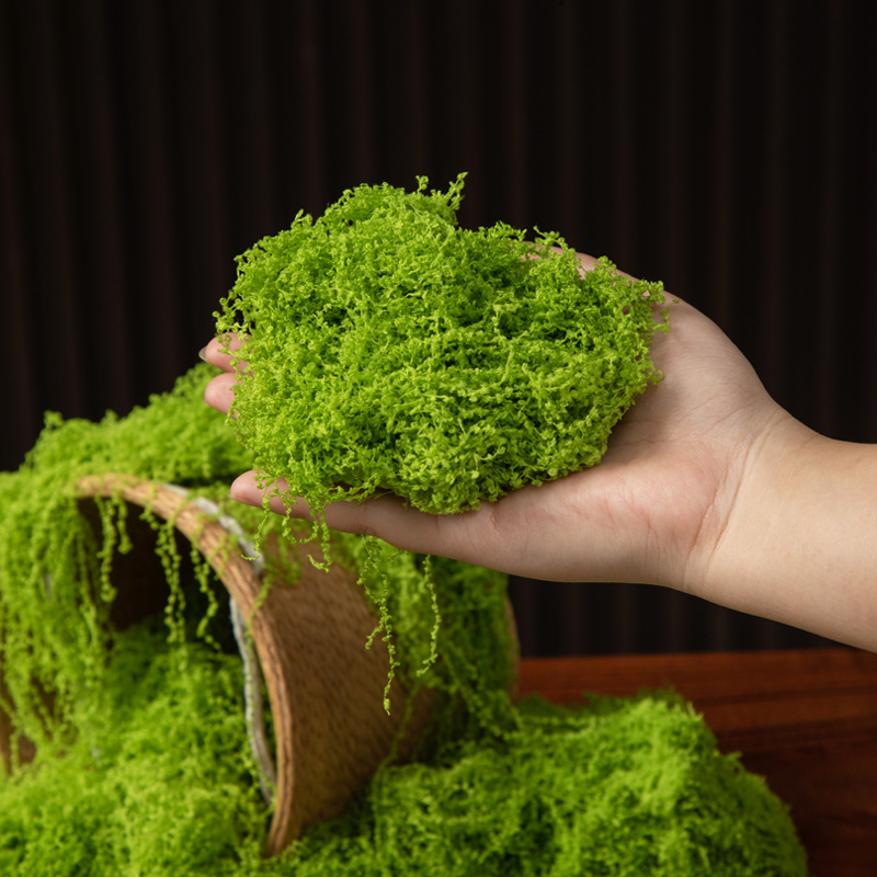 200g Eternal Life Moss DIY Cra - Terrarium Moss Art 评论和价格