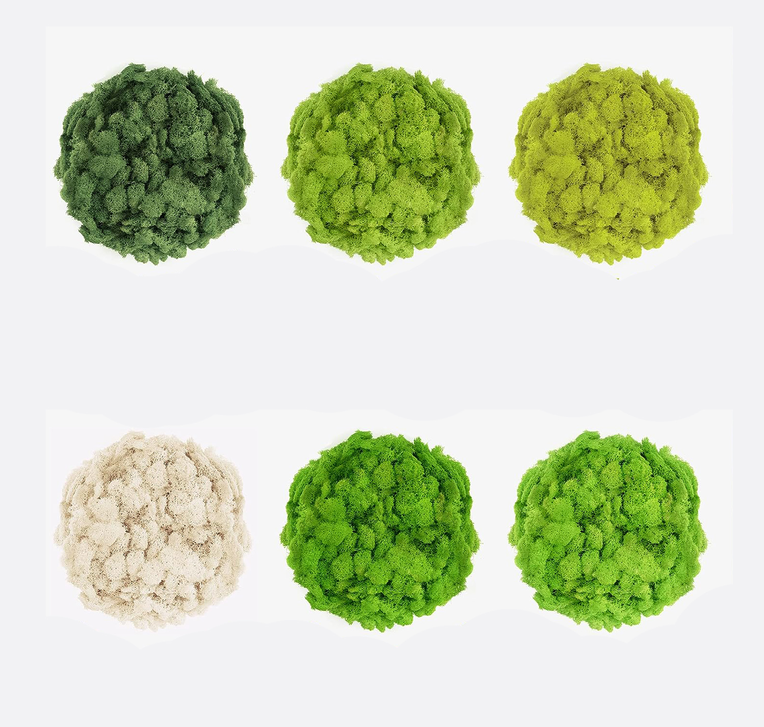 20/40/60g Eternal Life Moss Ar - Terrarium Moss Art 评论和价格