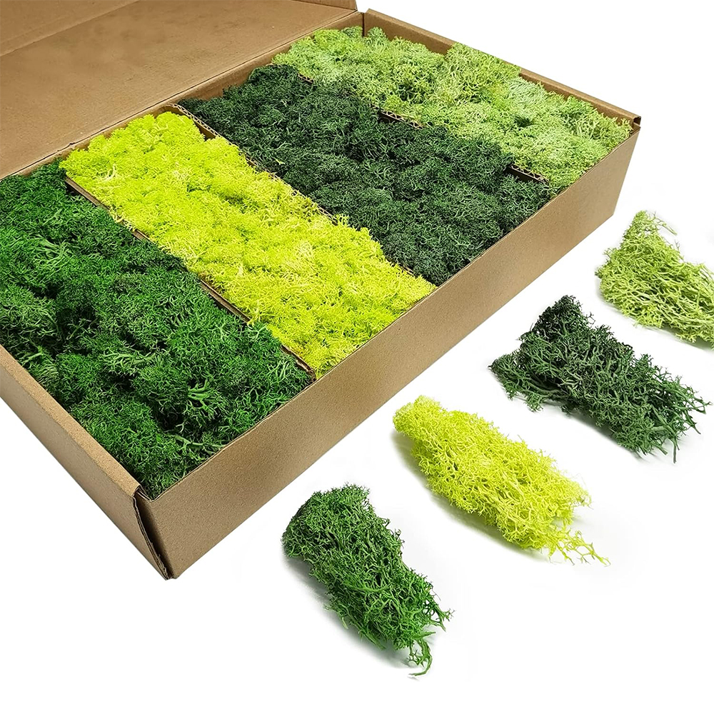 Artificial Green Plants Eterna - Terrarium Moss Art 评论和价格