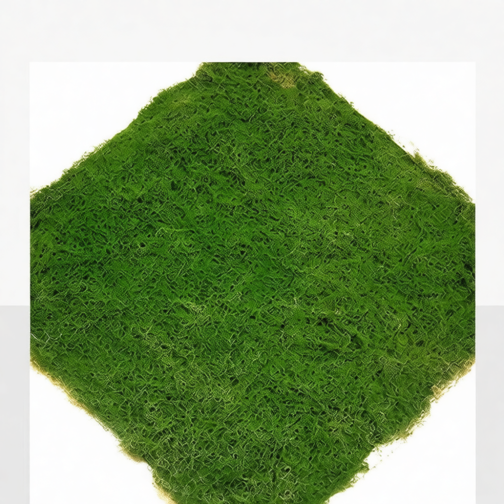 Simulation Moss Mat Faux Green - Terrarium Moss Art 评论和价格