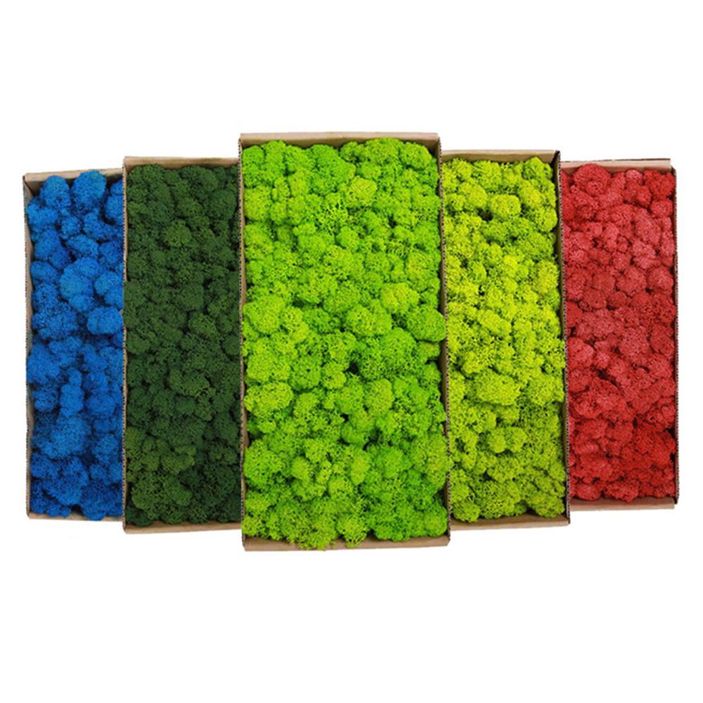 200g Artificial Green Plants M - Terrarium Moss Art 评论和价格
