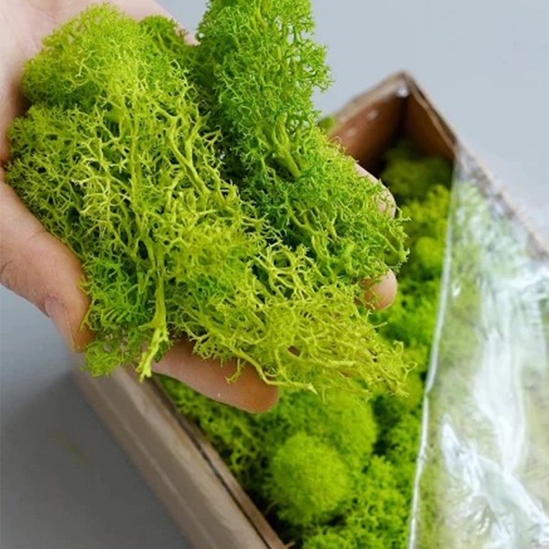 200g Artificial Green Plants M - Terrarium Moss Art 评论和价格