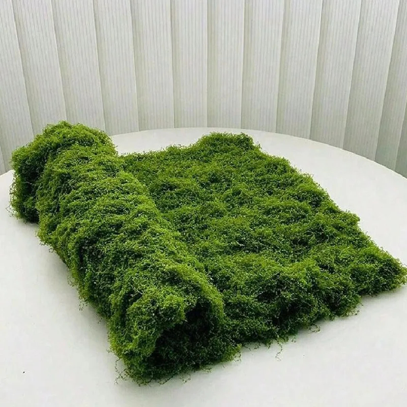 Artificial moss for micro-land - Terrarium Moss Art 评论和价格