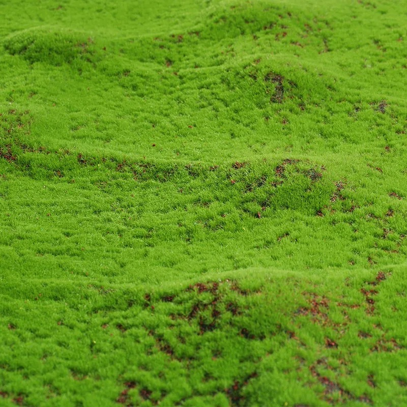 50X50cm Artificial Grass Rug F - Terrarium Moss Art 评论和价格