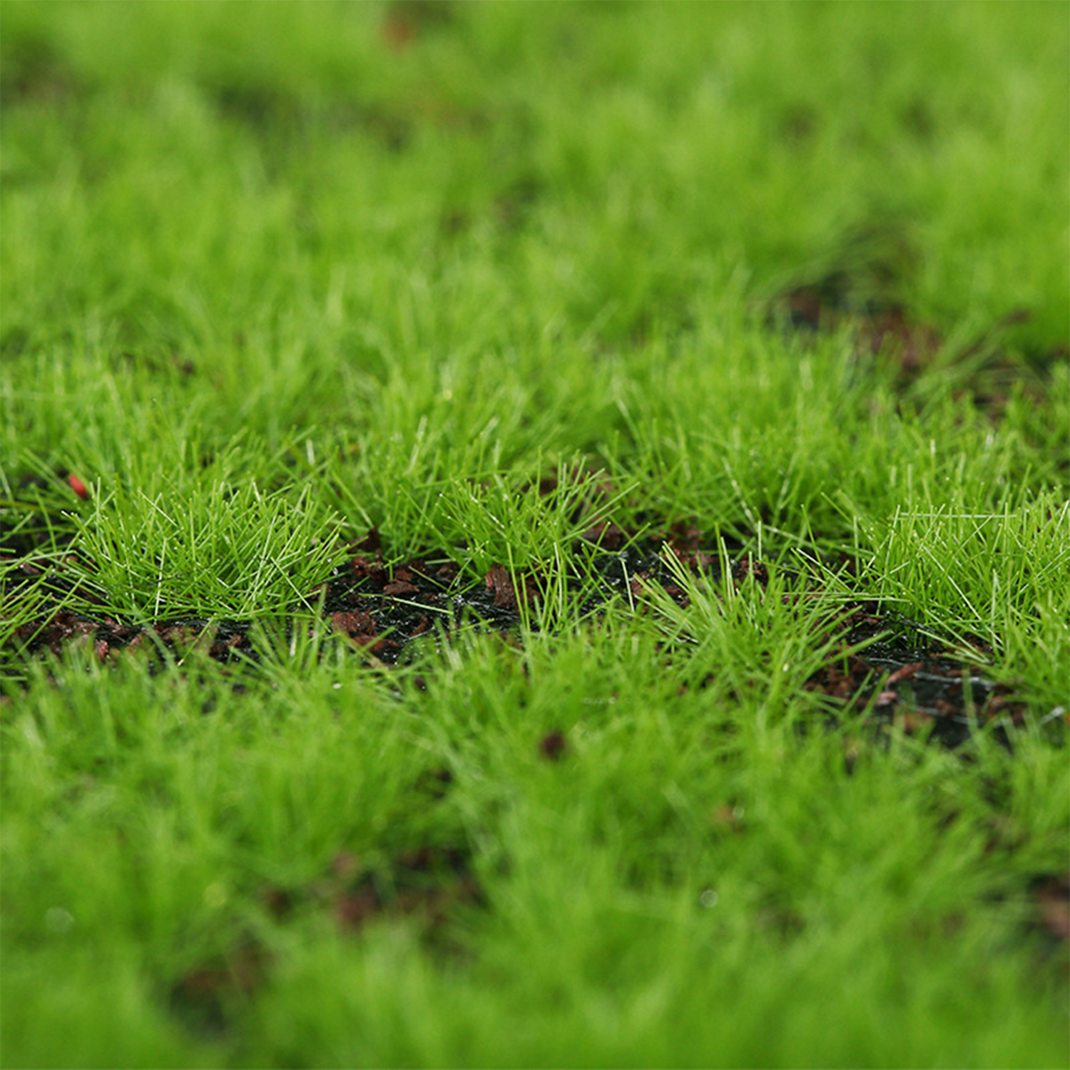 Artificial Moss Turf Simulatio - Terrarium Moss Art 评论和价格
